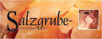 Salzgrube Altenessen - Essen